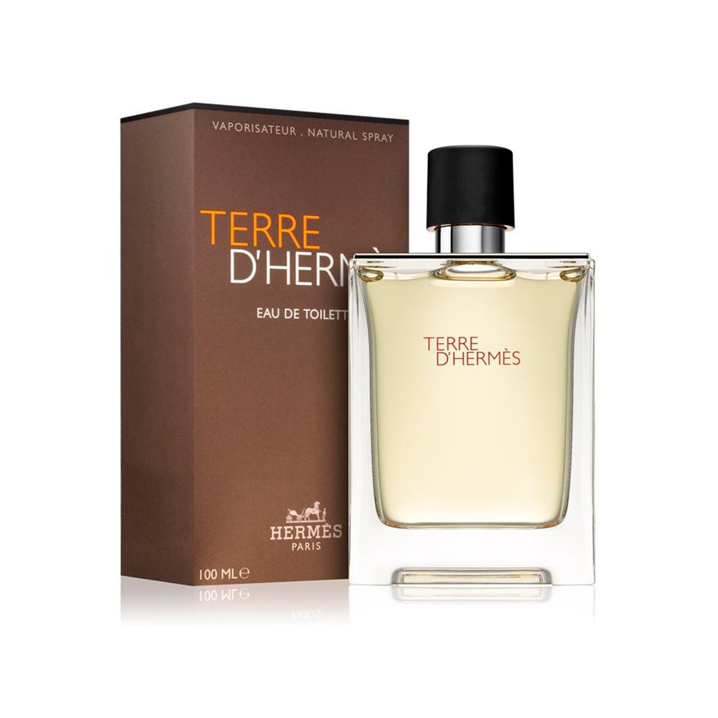 Terre D'Hermes by Hermes EDT 100ml