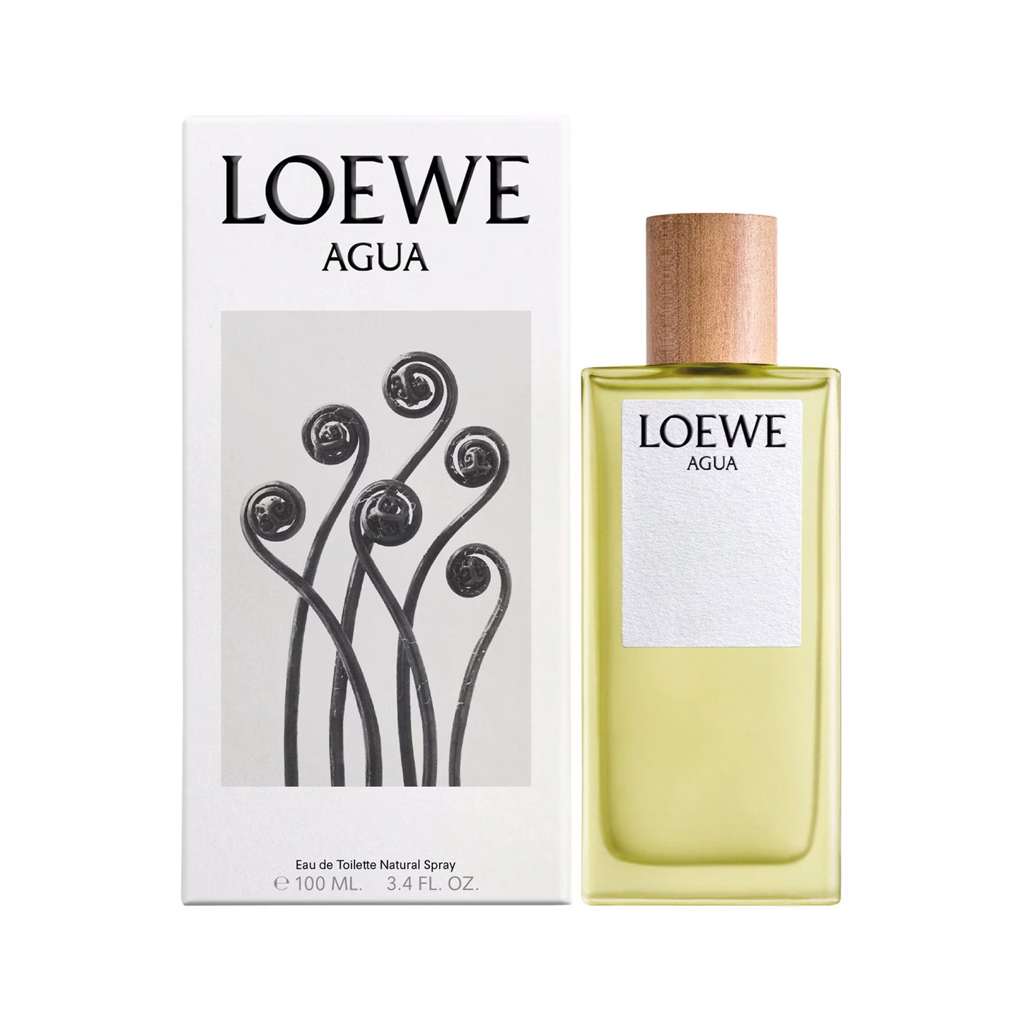 Loewe Agua EDT 100mL